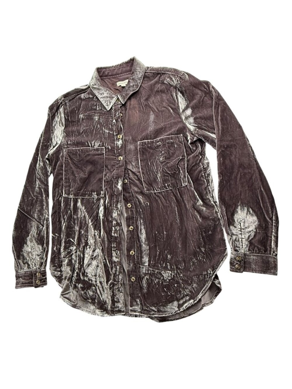 NEW NWT Anthropologie Pilcro and the Letterpress Velvet Velour Light Gray Shirt